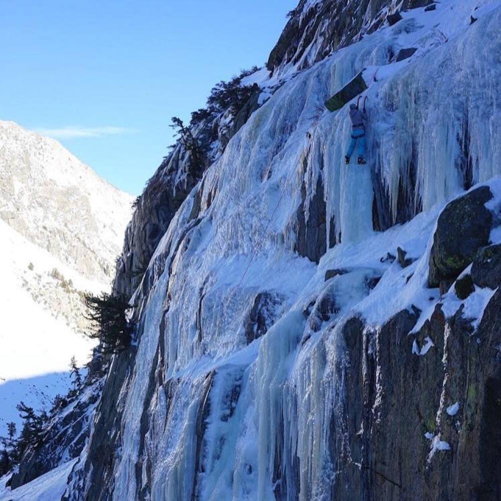 Meet your Posher, Brenda